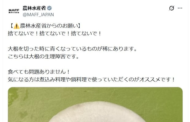 断面青いダイコンは「捨てないで！」「食べても問題なし！」　農水省が投稿した“理由”に「知らなかった」「捨ててたわ」
