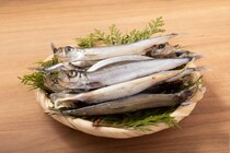 【1位～5位】えっ…意外な魚も！？　TOP5を全部チェック！