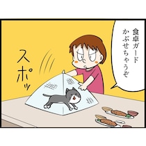 【ねこ漫画】食卓に上がる愛猫への最終手段！　「食卓ガード」をかぶせたら…　まさかの反応に「これは許すしかない（笑）」
