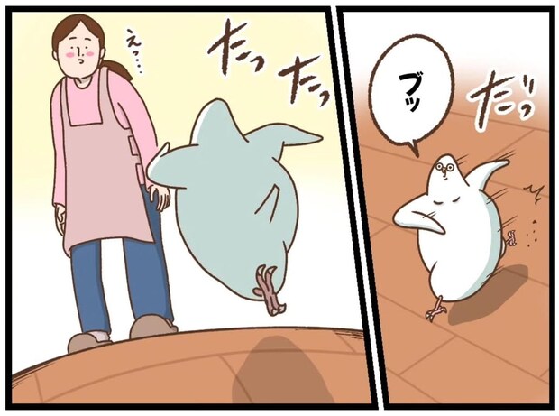 【漫画】愛鳥がウキウキで飛んで来た…と思いきや? 母撃沈、まさかの“真のターゲット”に「そっちかい!」