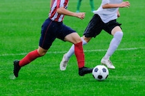 【ランキング】「よく観戦するスポーツ」、1位は野球、2位はサッカー、では3位は？