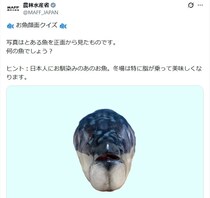 【画像で見る】「えっ…」　これが農水省「お魚顔面クイズ」の“答え”です！