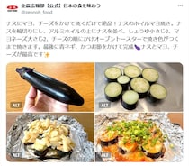 ナスにマヨネーズ、チーズかけて焼くだけ！　オーブントースター使った“お手軽レシピ”に「絶対にうまいヤツ」【JA全農が紹介】
