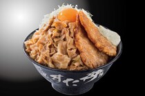 【総重量1.5キロ！】「肉」「豚揚げ」「唐揚げ」てんこ盛りで丼からあふれそう！　「トリプル合盛りすた丼“すたみな頂点盛り”」を大公開