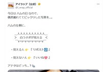 ハムの左側に“白ウサギ”！？　投稿画像にSNS驚き「すごい」「どうやったらこんなことに！？」【ハムの日】