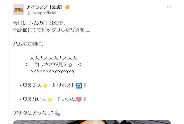 ハムの左側に“白ウサギ”！？　投稿画像にSNS驚き「すごい」「どうやったらこんなことに！？」【ハムの日】