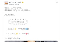 【驚き】「えっ…確かに似ている！」　これがハムに写った“白ウサギ”です