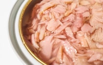 「サバ缶」vs「ツナ缶」、筋トレやダイエットに適しているのは？