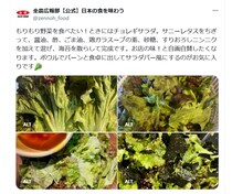 野菜をたらふく食べたいときにおすすめ！　「チョレギサラダ」の“簡単レシピ”とは？【JA全農が紹介】