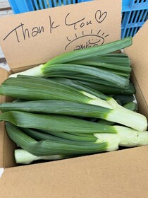 【画像】うわ…おいしそ！　コチラが「肉巻き」「かき揚げ」新タマネギの“レアな葉っぱ”の食べ方です！！