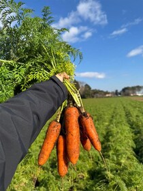 【すごい】お芋農家”「こっそりですよ？」“止まらない”天ぷらの作り方に「飯テロ！」「お酒が進みそう」