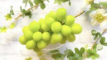 美容＆抗がん作用がある栄養素が豊富なフルーツは？