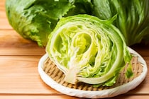 【画像で見る】もうしなしなにならない！　これが「レタス」の鮮度を1週間キープする“裏技”です！
