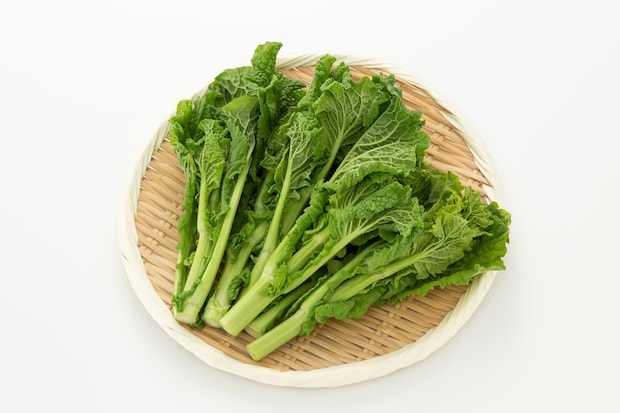 実は野菜でトップクラス! 「菜の花」の“すごい栄養”とは 貧血予防&美肌維持に役立つレシピをJA全農紹介