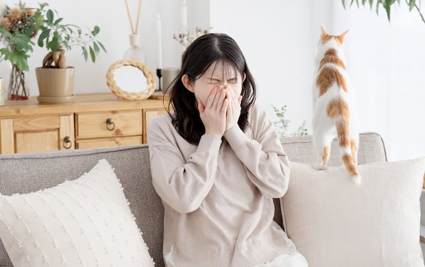 花粉症の人は要注意？　「猫アレルギー」になりやすい人の“特徴”とは…獣医師が説く「重症化リスク」