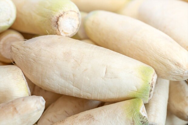 ダイコンが「しわしわ」に…栄養はあるの？　食べても大丈夫な「境界線」と廃棄すべきサイン