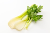 【豆知識】「えっ…」　これがおいしい「セロリ」の“選び方”です！