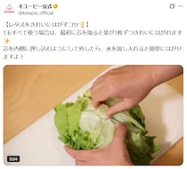 【動画で見る】わぁ…めっちゃ気持ちいい！　コチラがキユーピー公式の“レタスをはがす”様子です！