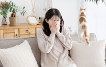 【画像で見る】「えっ…重症化も！？」　これが「猫アレルギー」によって引き起こされる主な症状です！