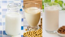 「牛乳」「豆乳」「アーモンドミルク」、毎日飲むならどれがいい？