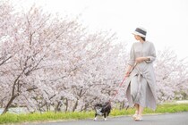 【要注意】「えっ…死の危険も！？」　これが犬が“絶対に食べてはいけないもの”です！