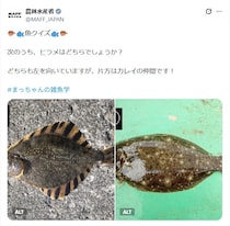 難問！　農水省「魚クイズ」がコレです！