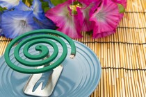 “蚊”を一気に撃退！　「線香」「液体」「電池式」「プッシュ式」の違いは？　効果的な使い方は？　メリット＆デメリットをアース製薬に聞く