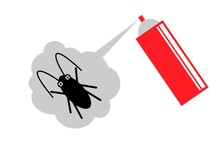 秋は活動盛んな「ゴキブリ」、発見時の対処法は？　寄せ付けないためにどうする？