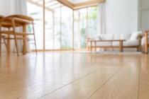 掃除をしてても「G」が出る！→意外な原因が？　《今日から》できる対策【おそうじマイスターが教える】