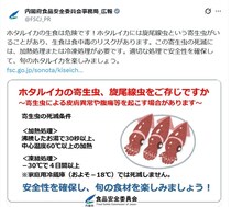 ホタルイカの「生食」NG…実は寄生虫による食中毒の恐れ　死滅させる条件とは？
