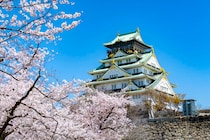 【1～20位】2026年「春のお城ランキング」　TOP20を見る！