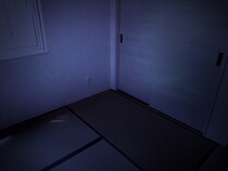 男女500人に聞いた「許容できる“心理的瑕疵物件”のレベル」ランキング1位は？