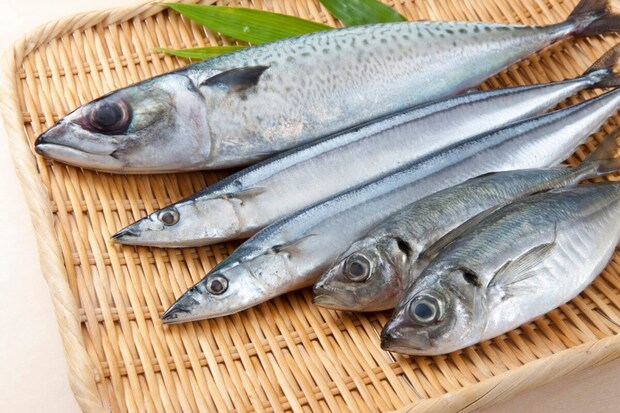 魚に寄生する「アニサキス」は酢＆塩では死滅せず　春以降に増加する“食中毒”を防ぐには