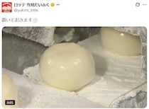 「雪見だいふく」生まれたて？　ぷるぷるの動画に5.4万いいねの反響　SNS「それが素顔なの？」「幸せが生み出されていく」