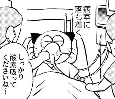 【漫画】「子宮内膜増殖症」で子宮全摘…　手術後、医師が“恐ろしい事実”を告げる「ガチの命拾い」