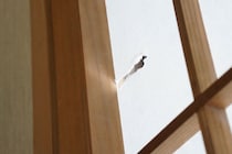 【ランキング】3位：今田耕司、2位：北川景子…1位は“超納得”のDIY上手！《部屋の片付けが得意そうな芸能人》TOP10