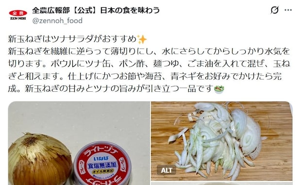 旬の「新タマネギ」の甘さ引き立つ！　少ない材料で作れる“簡単レシピ”に「今度やってみる」【JA全農が紹介】