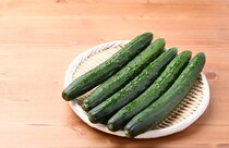 【キュウリ】油断しているとブヨブヨに…3週間保存する“テクニック”とは