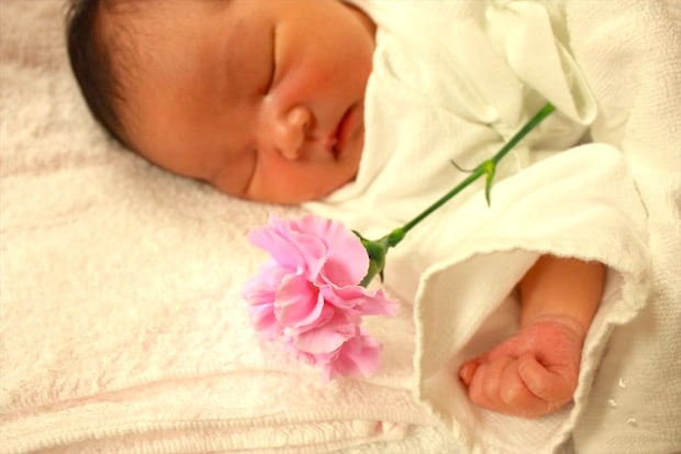 カーネーションの花言葉「愛」が付く“名付け”ランキング 1位は「ゆめぽて」の本名?