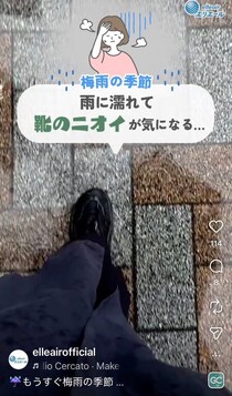 雨でぬれた靴が復活！？　悪臭＆型崩れを防ぐ“裏技”に「エコでおすすめ」