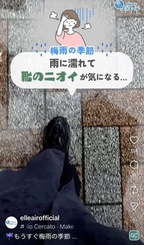 【豆知識】「えっ…とても便利」　これが雨でぬれた靴を復活させる“裏技”です！