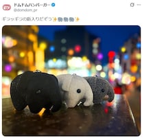 「オチが秀逸」ドムドムの新入り、まさかの“名前”にツッコミ続々　SNS「この子だけなぜ」「急ハンドルすぎる」