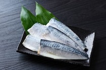 冷凍しても調理時にふっくら！　サバのおいしさが3週間長持ちする“保存テク”とは