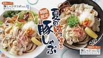 【はなまるうどん】「豚しゃぶうどん」発売　鬼おろし、ミョウガ、青ネギ…3種の薬味　「豚しゃぶサラダうどん」も