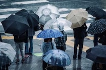 家電で“傘の水はじき”が復活？　警視庁が明かす“裏技”に「梅雨の時期に助かる」