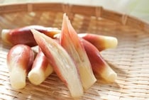 乾燥に弱い「ミョウガ」が長持ち！　JA全農が紹介する“保存方法”に「冷凍できるんですね！！」