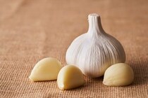 【ショック】「ニンニク」料理食べたら口臭、体臭がひどい…体質が原因？　医師が教える“臭い抑えるコツ”