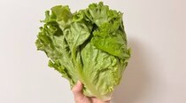 【便利！】「え…簡単じゃん！」 これが、余ったレタスを上手に活用する“お手軽レシピ”です（JA全農伝授）