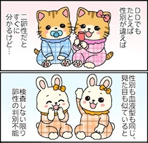 【漫画】「双子には3種類ある」　妊娠して初めて知った“意外な事実”に「全然知らなかった」と驚きの声