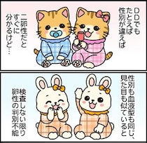 【漫画】本編を読む